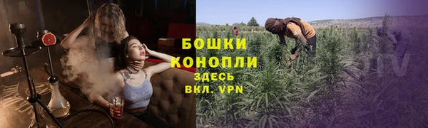 спиды Арсеньев