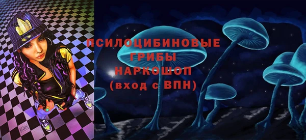 спиды Арсеньев